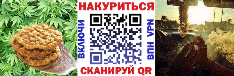 Canna-Cookies марихуана  как найти наркотики  Баксан 