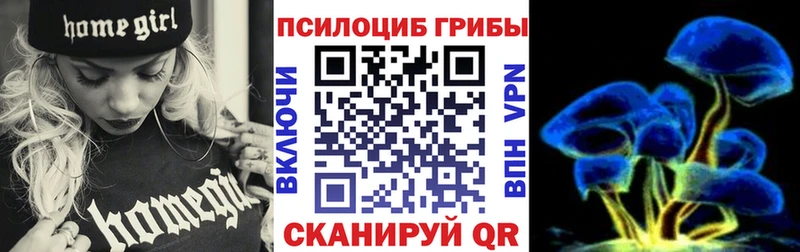 где купить наркотик  Баксан  Псилоцибиновые грибы прущие грибы 