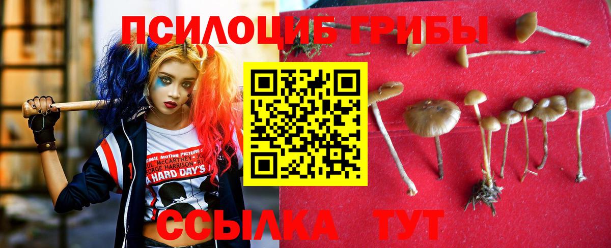 Псилоцибиновые грибы GOLDEN TEACHER  наркошоп  Баксан  Вход с VPN 