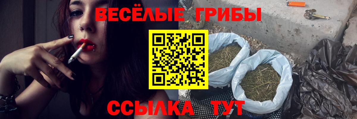Псилоцибиновые грибы Psilocybine cubensis Баксан